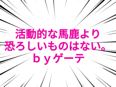 新潟市議会議員選挙