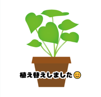 植え替えしました🍃