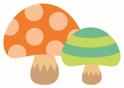 きのこ🍄