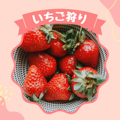 いちご狩り🍓💕