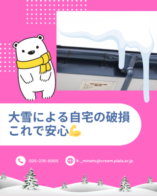 大雪による自宅の損傷もこれで安心💪