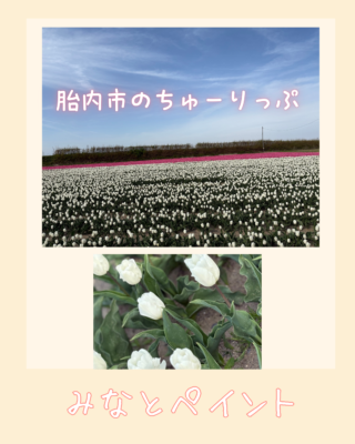 ちゅーりっぷ🌷🌷🌷