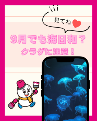 9月でも海日和？【クラゲに注意】