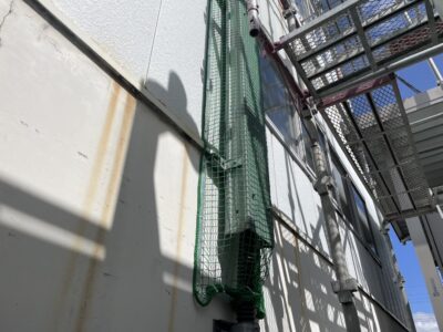 防鳥ネット取付け（完了）