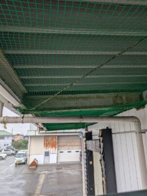 防鳥ネット取付け（完了）