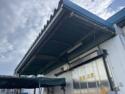 防鳥ネット取付け（完了）