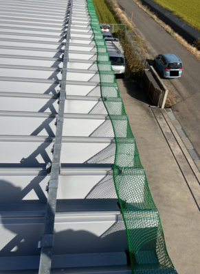 防鳥ネット取付（施工中）