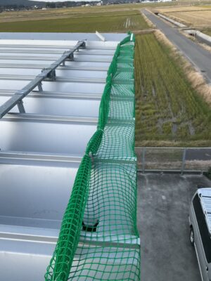 防鳥ネット取付（施工中）