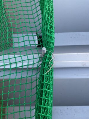 防鳥ネット取付（施工中）