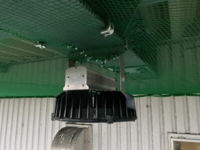 防鳥ネット取付（施工中）