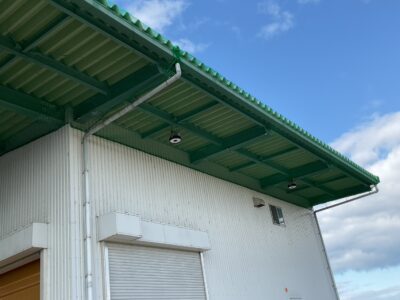 防鳥ネット取付（施工後）