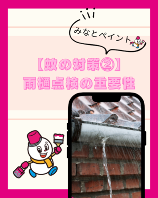 【蚊の対策②】見落としがちな雨樋のチェックポイント