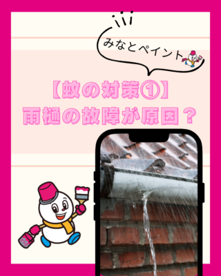 【蚊の対策①】雨樋の故障が蚊の大量発生につながるって本当？