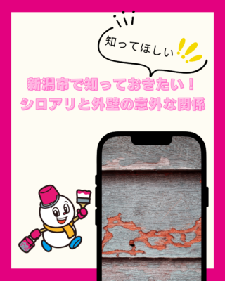 新潟市で知っておきたい!シロアリと外壁の意外な関係