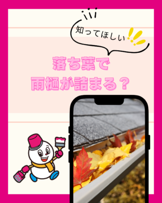 落ち葉で雨樋が詰まる？